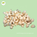 IQF wholesale garlic clove peeled